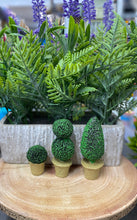 Load image into Gallery viewer, Topiary tree for fairy garden
