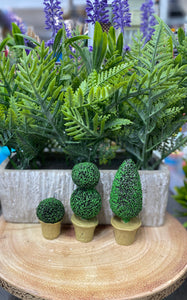 Topiary tree for fairy garden