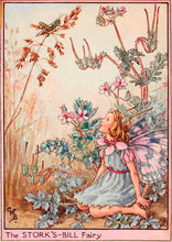 Load image into Gallery viewer, Stork&#39;s Bill Fairy inspired by artist Cicely Mary Barker
