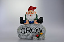 Load image into Gallery viewer, 19CM GNOME ON ROCK WITH GROW WORDING
