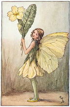 Load image into Gallery viewer, Primrose Fairy inspired by artist Cicely Mary Barker
