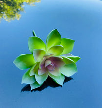 Load image into Gallery viewer, Artificial Succulents
