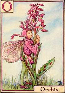 Orchis Fairy inspired by artist Cicely Mary Barker