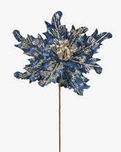 Load image into Gallery viewer, POINSETTIA PICK BURST BLUE GOLD 20CM
