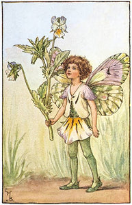 Heart’s ease Fairy inspired by artist Cicely Mary Barker