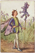 Load image into Gallery viewer, Bluebell Fairy inspired by artist Cicely Mary Barker
