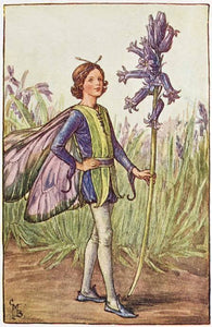 Bluebell Fairy inspired by artist Cicely Mary Barker