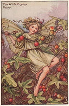 Load image into Gallery viewer, White Bryony Fairy inspired by artist Cicely Mary Barker
