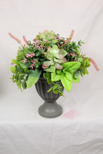 Load image into Gallery viewer, 34CM SUCCULENT PLANT IN VASE 2 ASSTD
