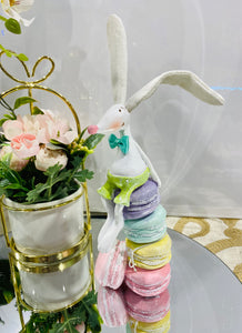 WHITE BUNNY ON MACAROONS