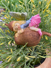 Load image into Gallery viewer, Gumnut Fairy Sleeping on Gumnut
