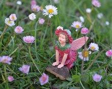 Load image into Gallery viewer, Double Daisy Fairy inspired by artist Cicely Mary Barker
