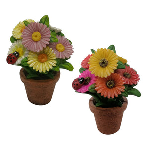 Daisy Pot – 2 Assorted