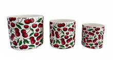 Load image into Gallery viewer, Ceramic pots set of 3
