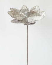 Load image into Gallery viewer, POINSETTIA STEM SILVER 65CM
