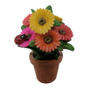 Daisy Pot – 2 Assorted