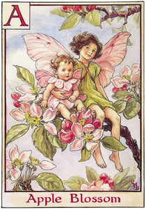 Baby Apple Blossom Fairy inspired by artist Cicely Mary Barker