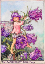 Load image into Gallery viewer, Canterbury Bell Fairy inspired by Cicely Mary Barker
