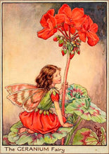 Load image into Gallery viewer, Geranium Fairy inspired by artist Cicely Mary Barker
