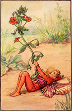 Load image into Gallery viewer, Scarlet Pimpernel Fairy inspired by artist Cicely Mary Barker
