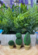 Load image into Gallery viewer, Topiary tree for fairy garden
