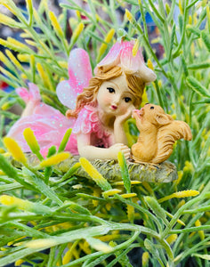 Flower Garden Fairy w/Squirrel