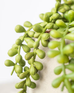 String of pearls with cemented pot