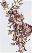 Load image into Gallery viewer, Sloe Fairy inspired by artist Cicely Mary Barker
