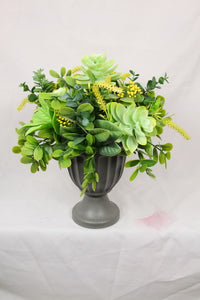 34CM SUCCULENT PLANT IN VASE 2 ASSTD