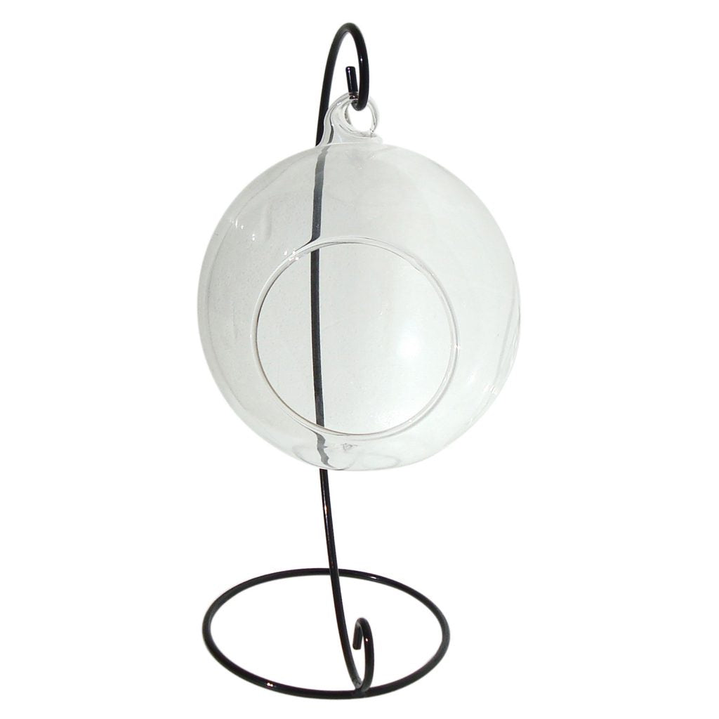 Hanging Glass Terrarium 10cm with Metal Stand