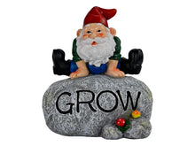 Load image into Gallery viewer, 19CM GNOME ON ROCK WITH GROW WORDING
