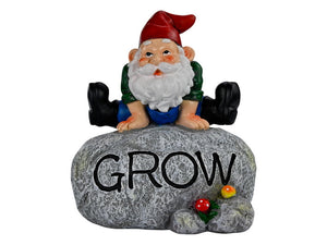 19CM GNOME ON ROCK WITH GROW WORDING