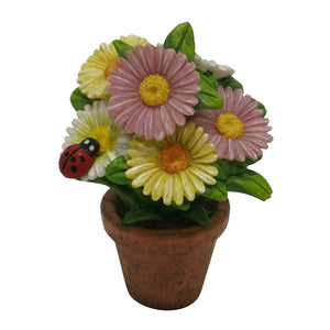 Daisy Pot – 2 Assorted