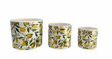 Load image into Gallery viewer, Ceramic pots set of 3
