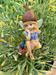 Gumnut Fairy w/Ulysses Butterfly