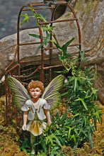 Load image into Gallery viewer, Heart’s ease Fairy inspired by artist Cicely Mary Barker
