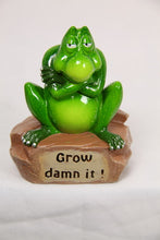 Load image into Gallery viewer, 12CM GREEN MARBLE GARDEN FROG WITH FUNNY WORDING
