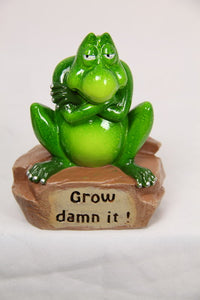 12CM GREEN MARBLE GARDEN FROG WITH FUNNY WORDING