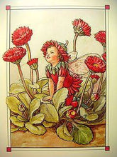 Load image into Gallery viewer, Double Daisy Fairy inspired by artist Cicely Mary Barker
