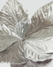 Load image into Gallery viewer, POINSETTIA STEM SILVER 65CM
